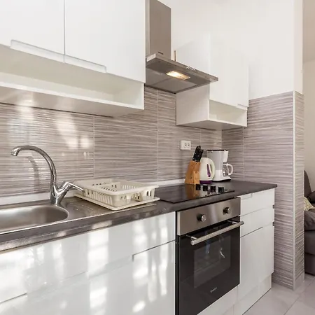 Apartment Pet Friendly In With Kitchen *