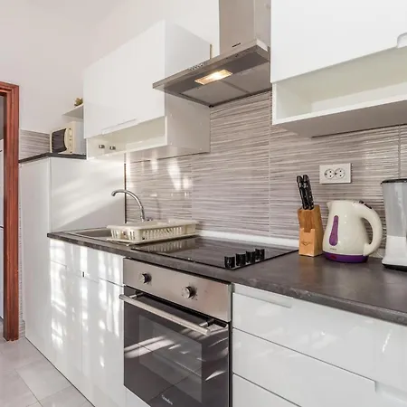 Apartment Pet Friendly In With Kitchen *